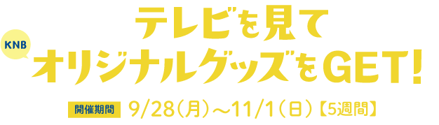 テレビを見てオリジナルグッズをGET！