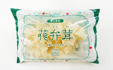 ハナビラタケ