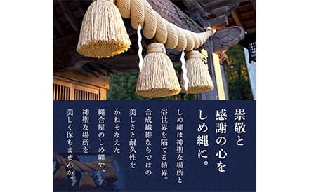 説明